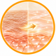 Improves Skin Texture