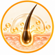 Follicle Care